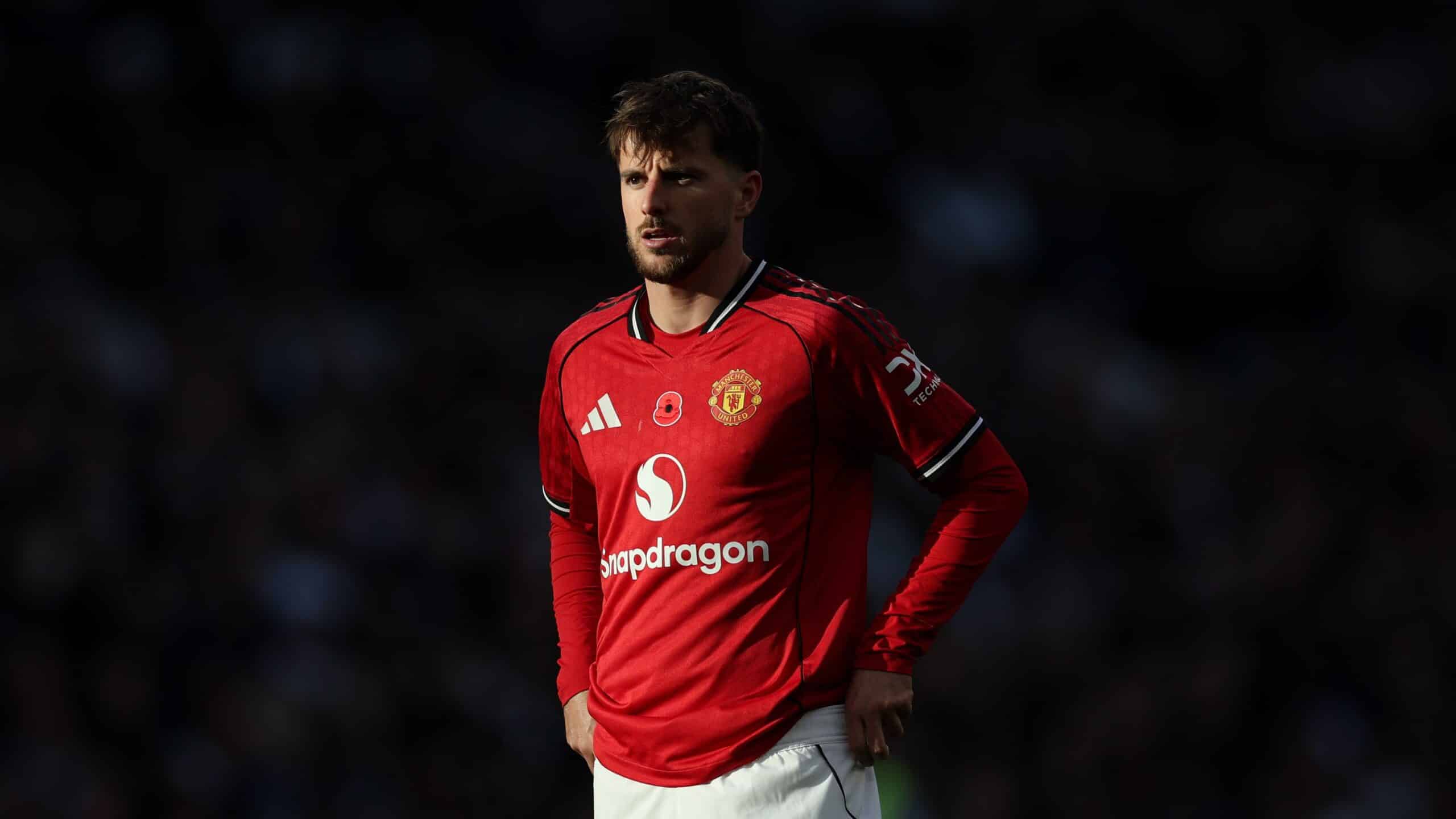 Investigation Underway Following Arrest for Homophobic Abuse at Premier League Match