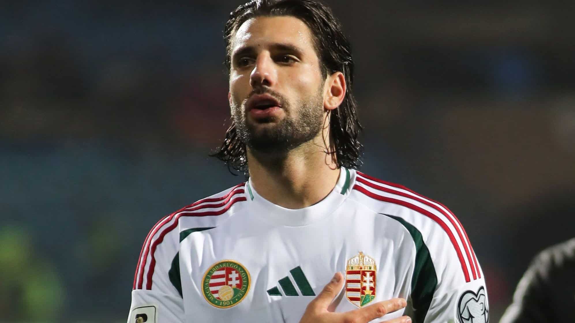 Ireland s Remarkable Comeback Against Hungary A Rollercoaster Match Report