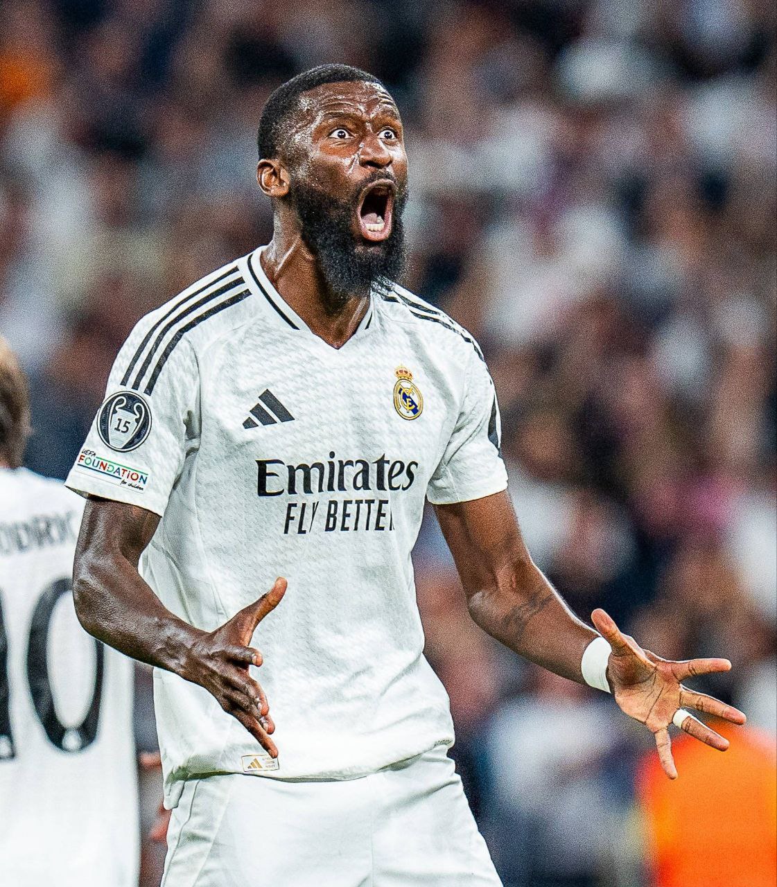 photo 2025 11 08 14 48 22